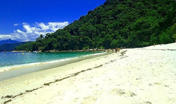 Praia do Dentista